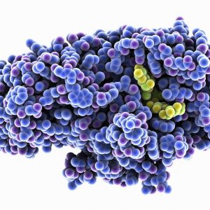 Enzymes