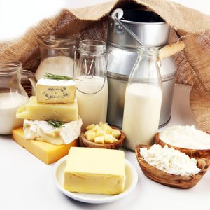 Ferments lactiques